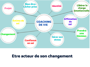 schéma coaching de vie
